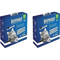 Bosphorus Kedi Kumu