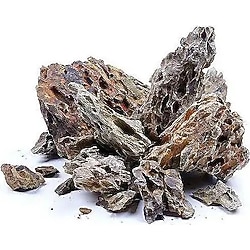 Dragon Akvaryum Dekor Ürünü