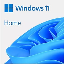 Microsoft Win 11 Home ESD TR