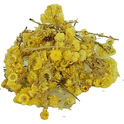LokmanAVM Altın Otu Çiçeği Ölmez Çiçek Doğal 100 Gr Paket