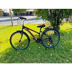 Gang garlicy vx1 2025