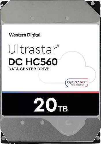 Western Digital 3.5" 20 TB Ultrastar 0F38755 SATA 3.0 7200 RPM Nas Harddisk