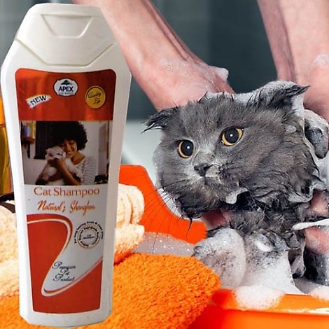 Apex Tüy Parlatıcı Lavantalı 400 ml Kedi Şampuanı